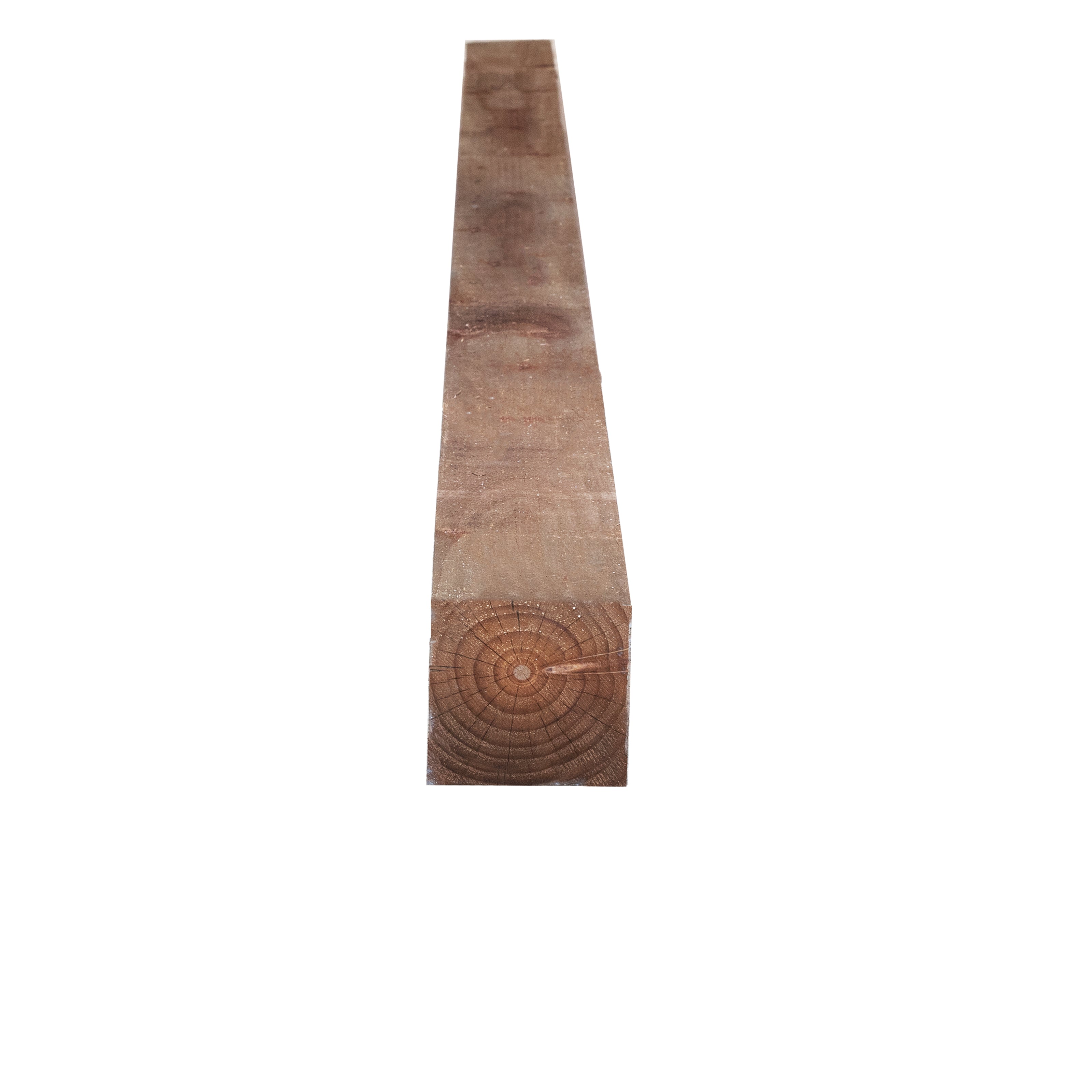 Treated Fence Posts - 100x100mm (4x4)